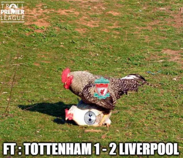 BLG核心选手续约完成 战队稳定性提升